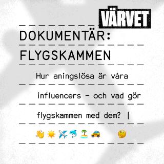 Värvet dokumentär: Flygskammen