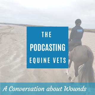 A Conversation About Wounds