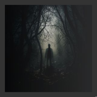 There's Something in the Forest
