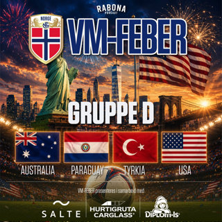 VM-GUIDEN: Gruppe D