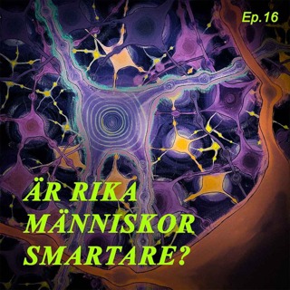 Är rika människor smartare?