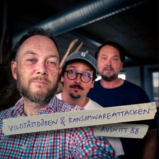 88: Vildjästdöden & Ransomwareattacken