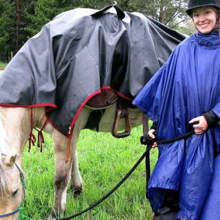 Den ridande otrohetsdetektiven