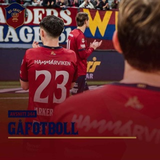 344. Gåfotboll