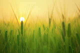 Guided Meditation for Mornings: Clear Negativity Open Chakras Awaken Vital Energy After Sleep