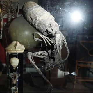 200th Episode Ghosts, Aliens, Monsters & More Edition - The Paranormal 60 News