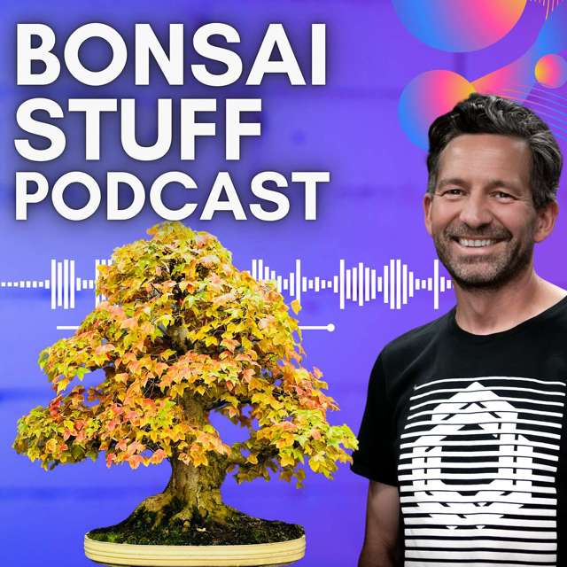Bonsai Stuff