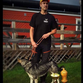 Løshundjakt med Robin Harnesk