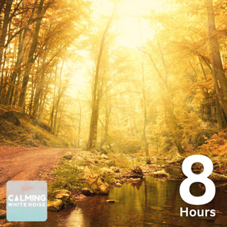 Forest Creek Sounds (8 Hours) | Nature Sounds to Relax, Sleep, and Focus