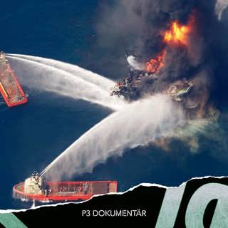 Deepwater Horizon – oljekatastrofen i Mexikanska golfen
