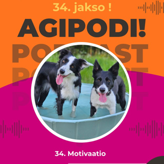 34. Motivaatio