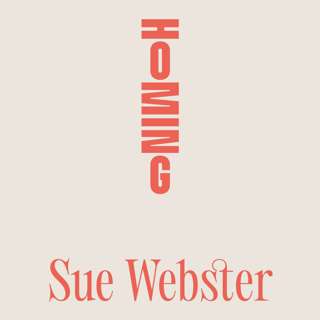 Sue Webster on Punk, The Mole House & The Art of Non-Conformity