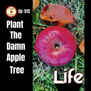 512: Plant the Damn Apple Tree | Special Edition