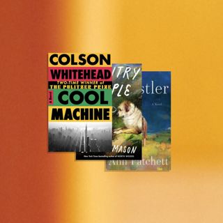 A Summer Book Recommendation Bonanza