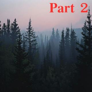 I Solve Disappearances in National Parks, but This Case Might Be My Last | Part 2