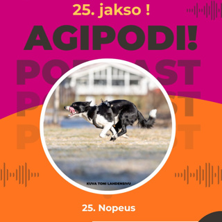 25. Nopeus