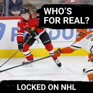 The Blackhawks and Ducks Are Vastly Improved but Who's For Real and Can the Panthers Get Back on Track?
