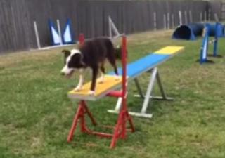 107: Training the Teeter