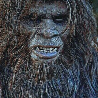 Expedition Bigfoot - The Trail of Evidence