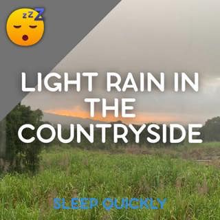 😴🌧️🎵 MUSIC with Light RAIN in the Countryside