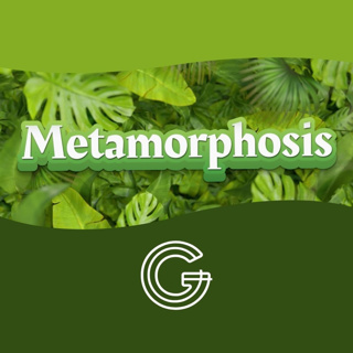 METAMORPHOSIS - Mark 9:2-37 | Terry Janke