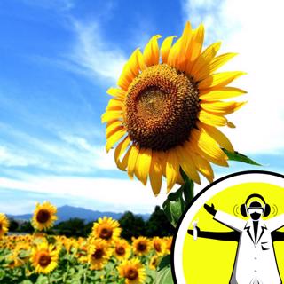 Senses Month: Scents and Scent Ability