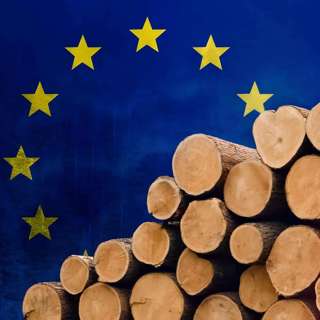 EU Bans Plastic Packaging, EU Cocoa Regulations Challenge Brands, Ariane 6 Success Boosts Europe, Counterfeit Currency Ring Busted, and more...