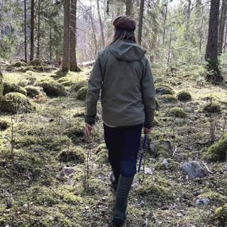 Ingemar går den naturnära vägen med sin skog
