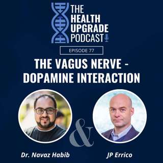 Dopamine and Vagus Nerve Interaction