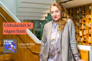Elise Grosse, Sweco och eran av byggbiologi