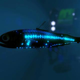 Glow for it! How do creatures make light?