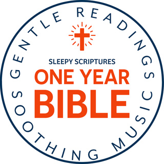 Announcing The Sleepy Scriptures One Year Bible