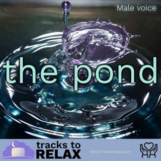 The Pond - Bedtime Sleep Meditation