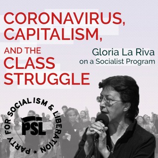 Coronavirus and capitalism: Socialist program to fight coronavirus