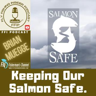 Keep Our Salmon Safe