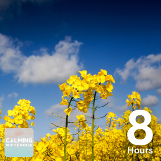 Birdsong with Rolling Thunder (No Rain) | 8 Hours White Noise for Studying