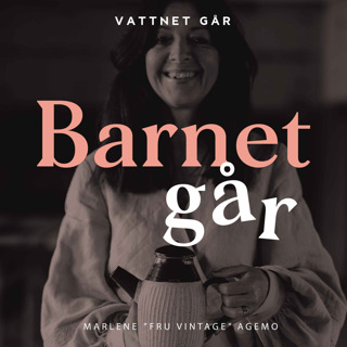 392. BG-repris - Marlene "Fru Vintage" Agemo, "Jag har varit hemmamamma i 11 år!"