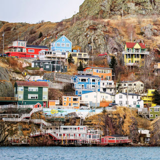 Let's Kiss the Cod in Newfoundland!