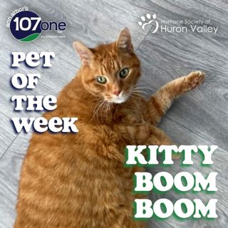 a2VV: HSHV Pet of the Week 2/5/26