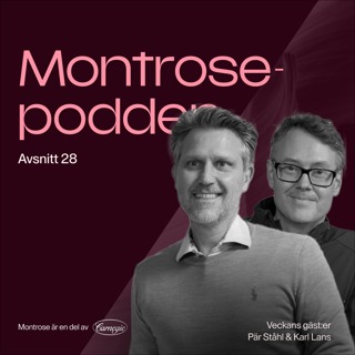 #28 - Börsspaningar världen över med Placera-duon Pär Ståhl och Karl Lans