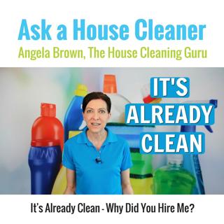 Already Clean - Why Did You Hire Me?