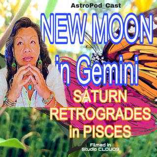 NEW MOON IN GEMINI/SATURN RETROGRADES IN PISCES June 12-19, 2023