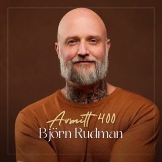 Stressterauepten om hur du hanterar du stress och utmattning - Björn Rudman