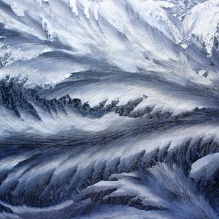 #14 — The Virtues of Cold Blood