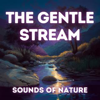 Sounds of the Forest River - Soothing Nature Sounds