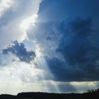 297 Sonorous rural woodland before an approaching storm