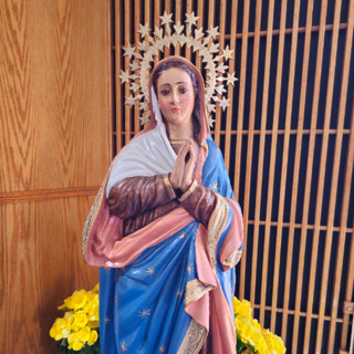 The Queen of All Hearts: Mary’s Role in Building the Body of Christ