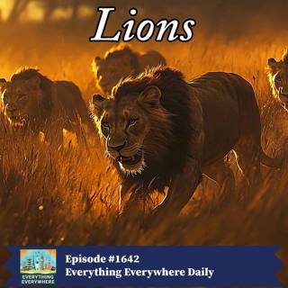 Lions