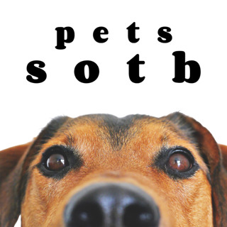 Episode 210: Pets