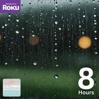 Peaceful Rainfall Sounds to Help You Sleep Through the Night (8 Hours)